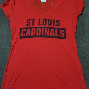 Small VS Pink Cardinals